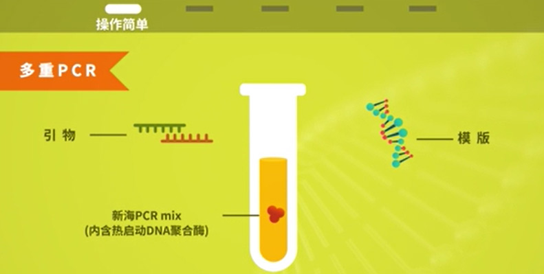 多重PCR Mix