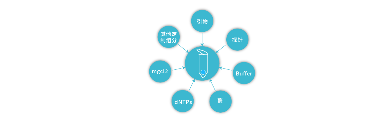 冻干试剂 产品系列