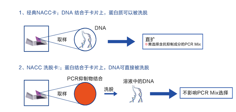 NACC洗脱卡 NACC洗脱卡