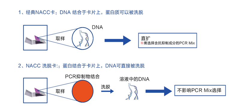 NACC洗脱卡