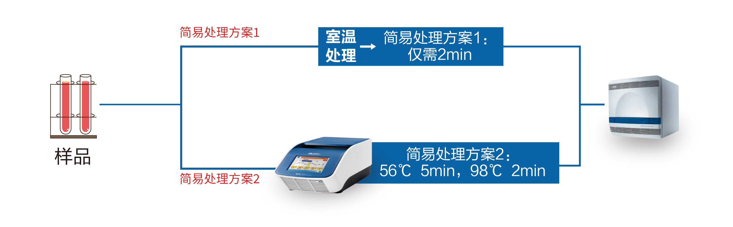 样品简易处理液