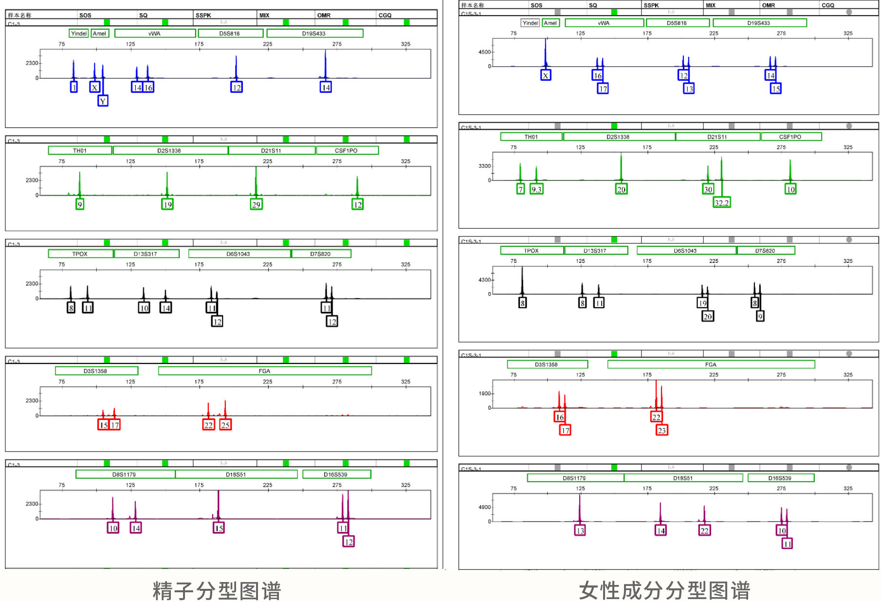 精斑差异化提取试剂盒 精斑差异化提取试剂盒