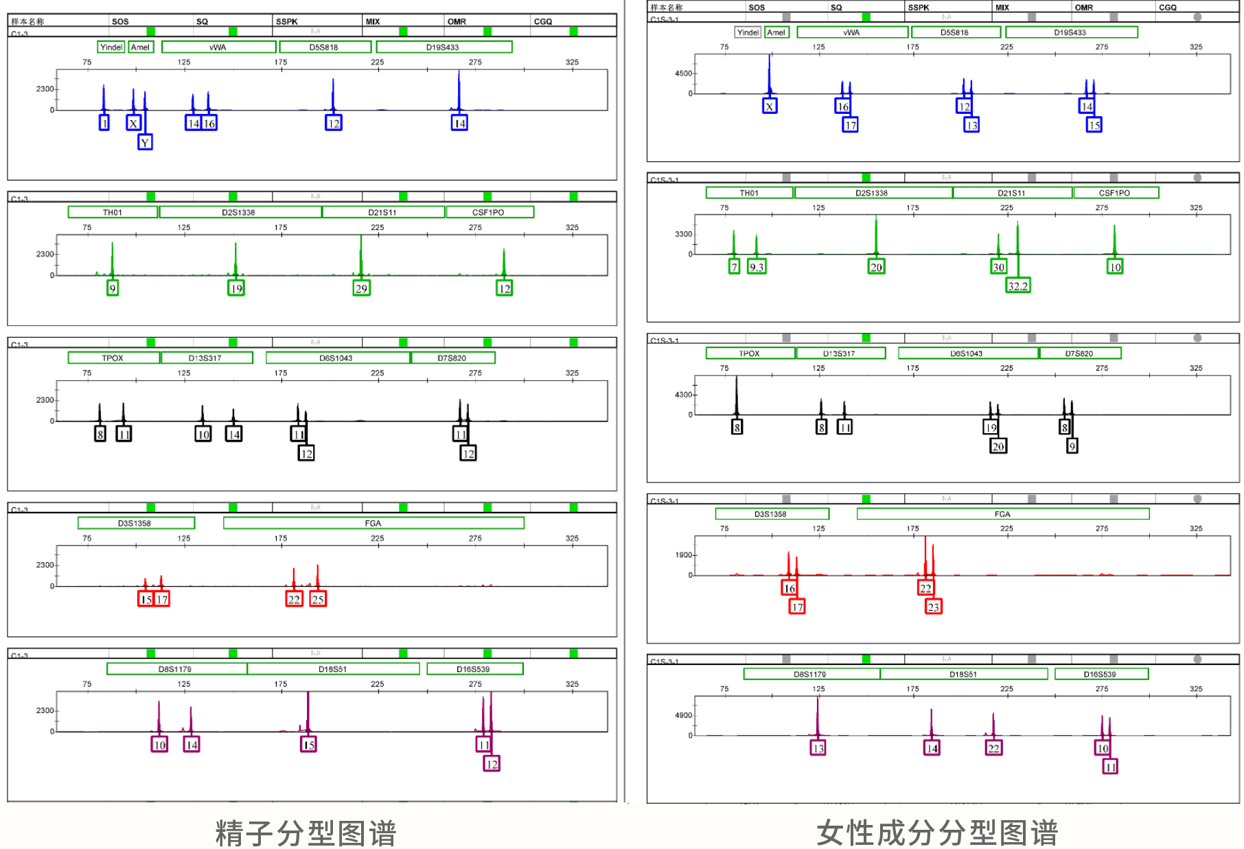 精斑差异化提取试剂盒