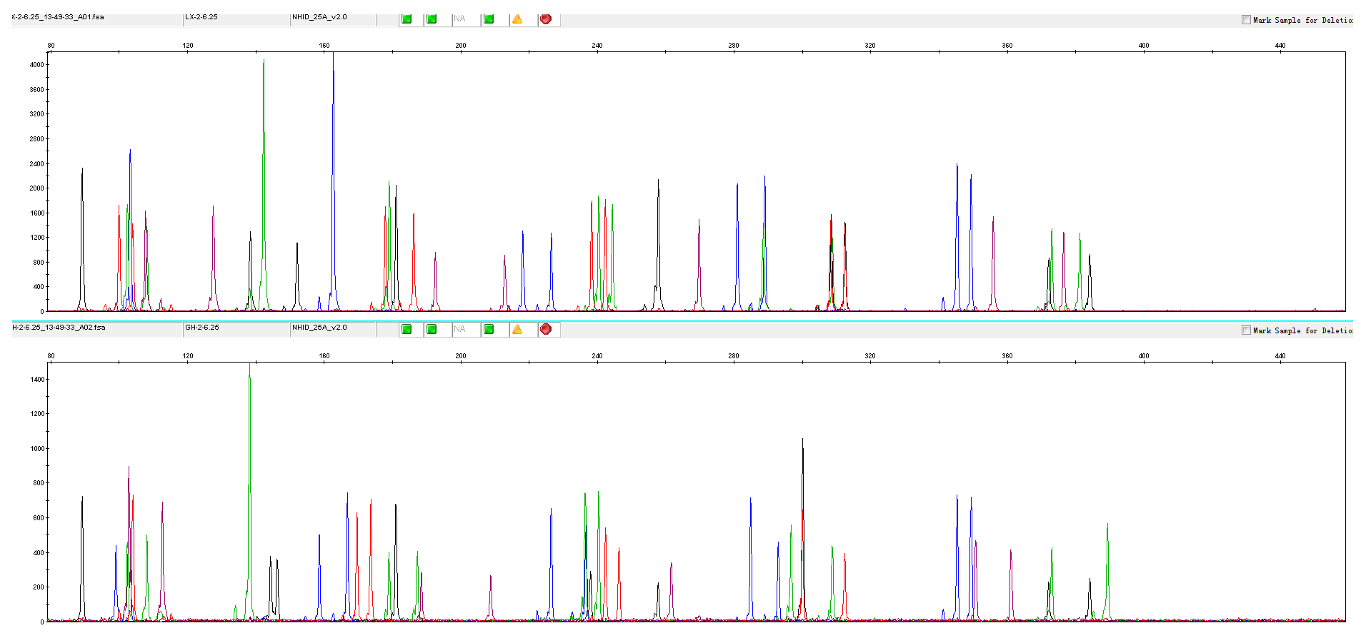 全血直扩Direct Blood PCR Mix