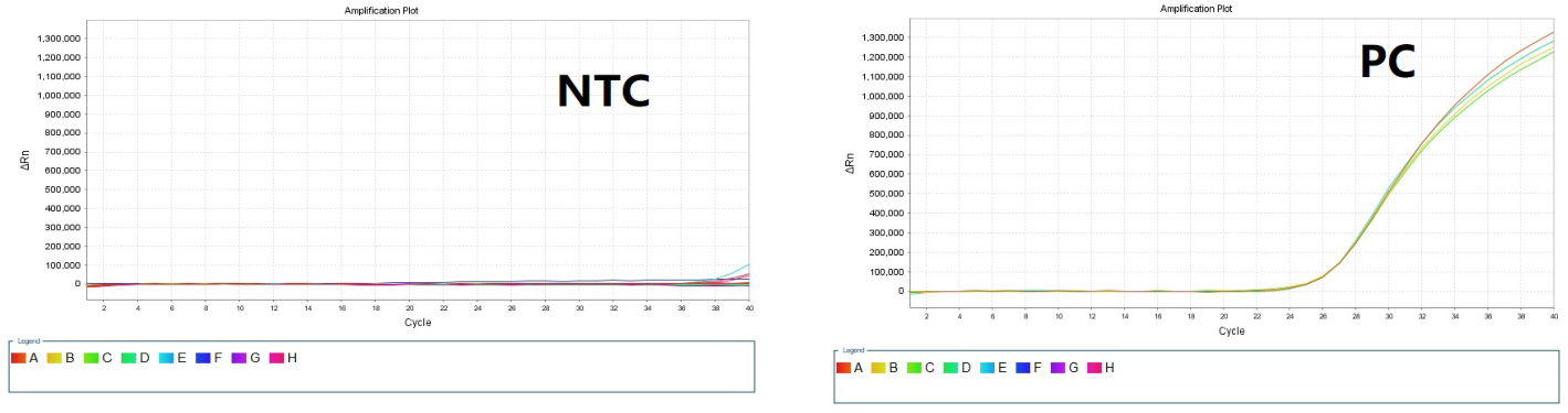 LOW DNA/RNA Mix