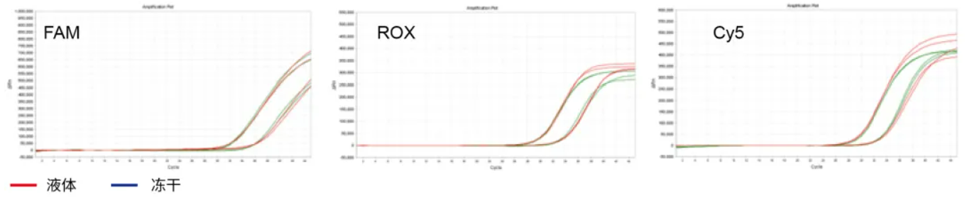 上新 | 冻干DNA Mix及RT-PCR Mix,助力常温检测试剂开发 上新 | 冻干DNA Mix及RT-PCR Mix,助力常温检测试剂开发