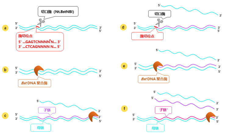 NHID® Trace STR试剂盒