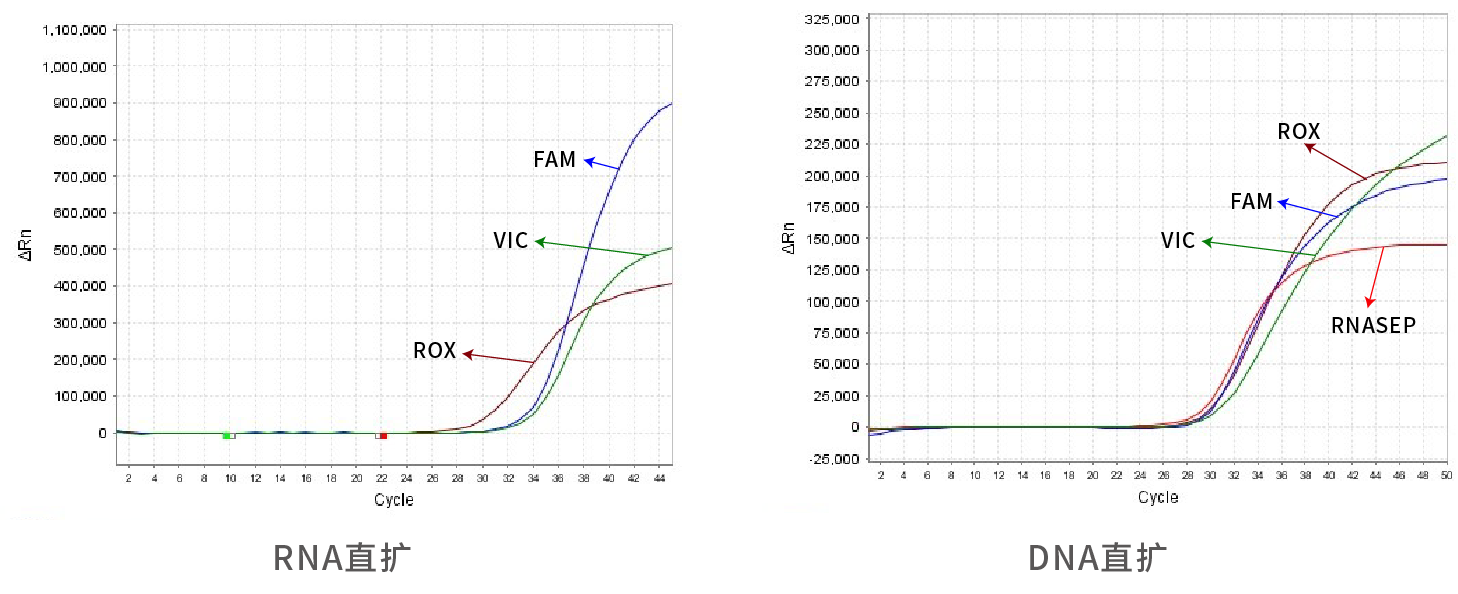DNA/RNA免提取直扩检测系列
